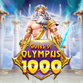 Cổng Olympus 1000 23wi slot